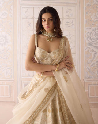 Ivory gold applique embroidered lehenga set