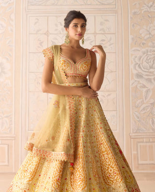 Acacia yellow gota embroidered lehenga set