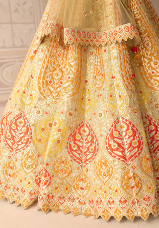 Acacia yellow gota embroidered lehenga set