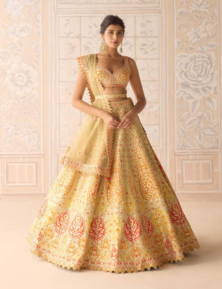 Acacia yellow gota embroidered lehenga set