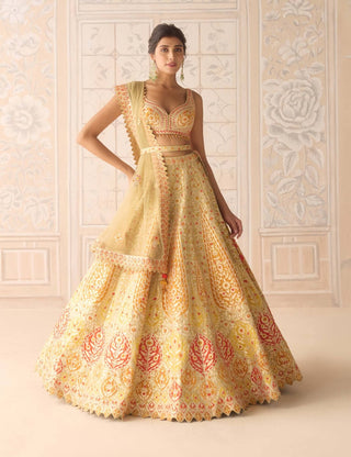 Acacia yellow gota embroidered lehenga set