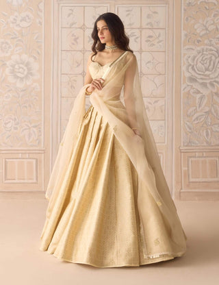 Butterfly green gota embroidered lehenga set