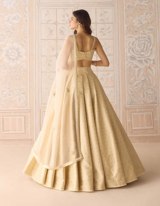 Butterfly green gota embroidered lehenga set