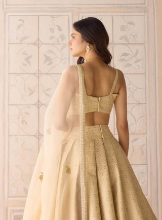 Butterfly green gota embroidered lehenga set