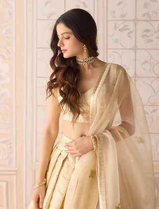 Butterfly green gota embroidered lehenga set