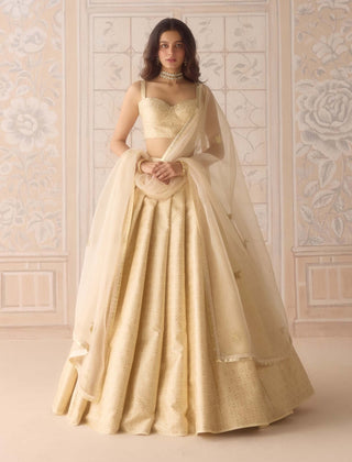 Ivory brocade pleated lehenga set