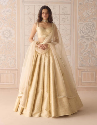 Butterfly green gota embroidered lehenga set