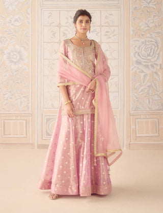 Blush pink tissue organza brocade sharara set