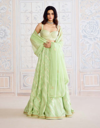 Butterfly green brocade lehenga set