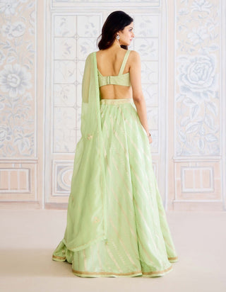 Butterfly green brocade lehenga set