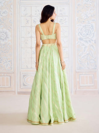 Butterfly green brocade lehenga set