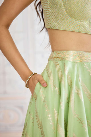 Butterfly green brocade lehenga set