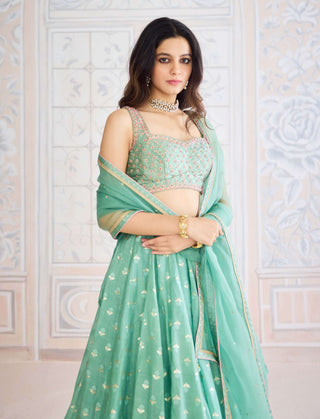 Neptune green chanderi brocade lehenga set
