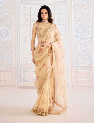 Gold printed tissue brocade sari set