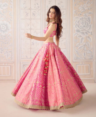 Coral pink gold dori embroidered lehenga set