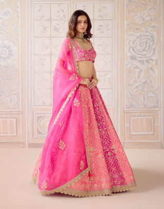 Coral pink gold dori embroidered lehenga set