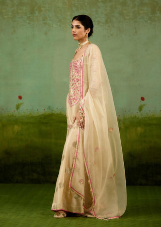 Ivory neutral kurta sharara set