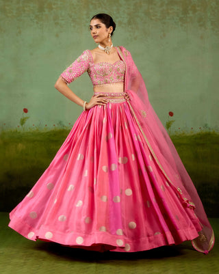 Candy pink lehenga set
