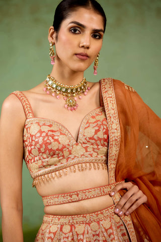 Rust orange lehenga set