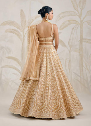Gold gota embroidered tissue organza lehenga set