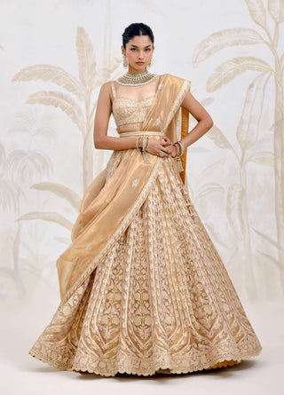 Gold gota embroidered tissue organza lehenga set