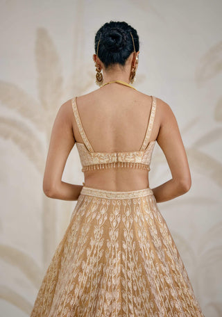 Gold gota embroidered tissue organza lehenga set
