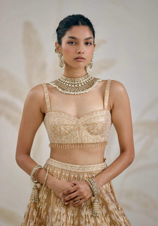 Gold gota embroidered tissue organza lehenga set