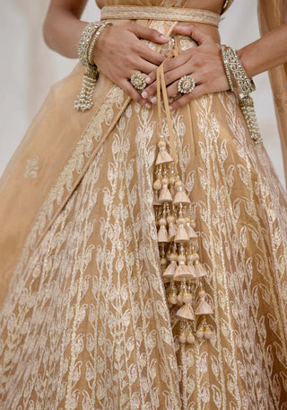 Gold gota embroidered tissue organza lehenga set