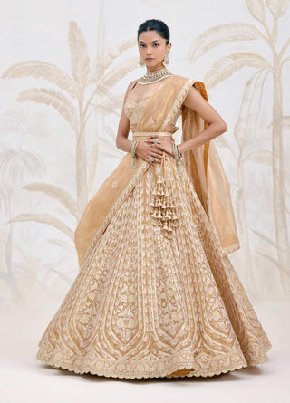 Gold gota embroidered tissue organza lehenga set
