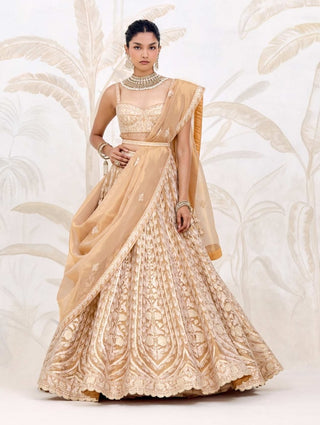 Gold gota embroidered tissue organza lehenga set