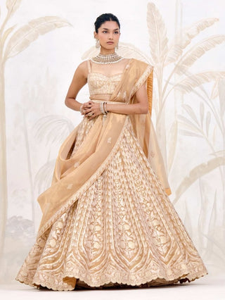 Gold gota embroidered tissue organza lehenga set