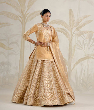 Gold gota embroidered tissue organza kurti lehenga set