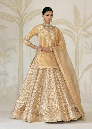 Gold gota embroidered tissue organza kurti lehenga set