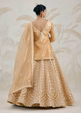 Gold gota embroidered tissue organza kurti lehenga set