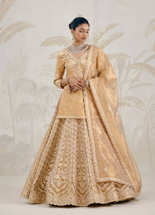 Gold gota embroidered tissue organza kurti lehenga set