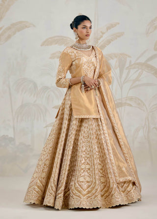 Gold gota embroidered tissue organza kurti lehenga set
