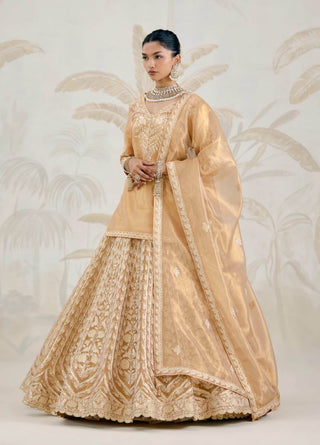 Gold gota embroidered tissue organza kurti lehenga set