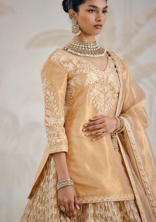 Gold gota embroidered tissue organza kurti lehenga set