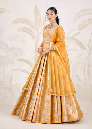 Mustard yellow Banarasi brocade pleated lehenga set