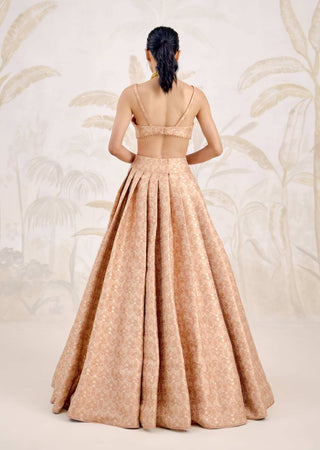 Dusty coral Banarasi brocade pleated lehenga set