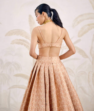 Dusty coral Banarasi brocade pleated lehenga set