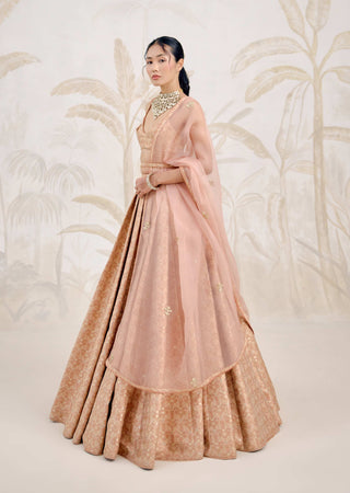 Dusty coral Banarasi brocade pleated lehenga set