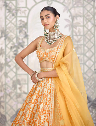 Marigold orange zari dori embroidered lehenga set