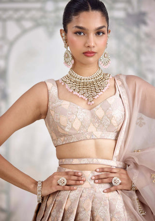 Moonlight gray Banarasi brocade pleated lehenga set