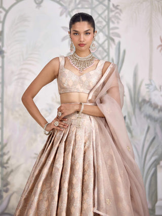 Moonlight gray Banarasi brocade pleated lehenga set
