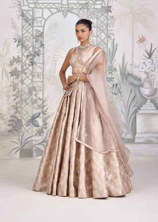 Moonlight gray Banarasi brocade pleated lehenga set