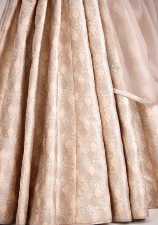 Moonlight gray Banarasi brocade pleated lehenga set