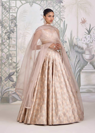 Moonlight gray Banarasi brocade pleated lehenga set