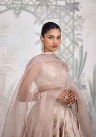 Moonlight gray Banarasi brocade pleated lehenga set