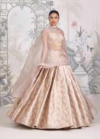 Moonlight gray Banarasi brocade pleated lehenga set
